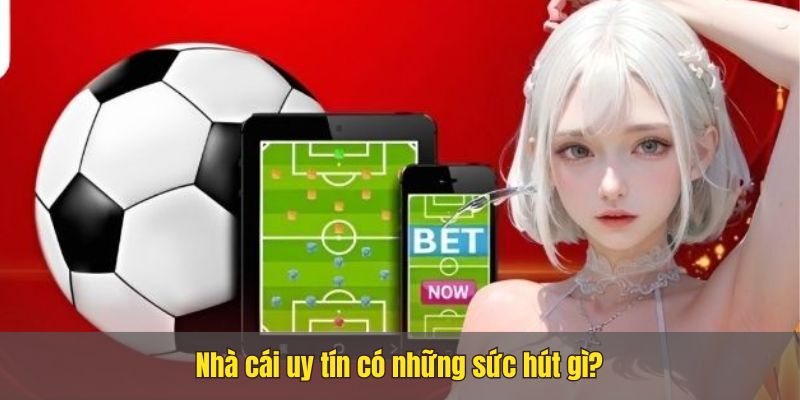 Trang nhà cái uy tín Nhacai24h1.net, bet thủ không nên bỏ qua 5 Trang nhà cái uy tín Nhacai24h1.net, bet thủ không nên bỏ qua