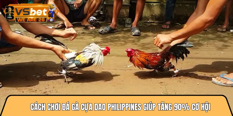 Cách chơi đá gà cựa dao philippines giúp tăng 90% cơ hội 6 Cách chơi đá gà cựa dao philippines